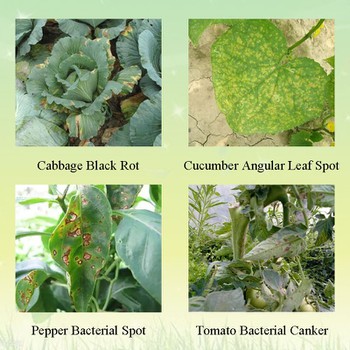 Application Application