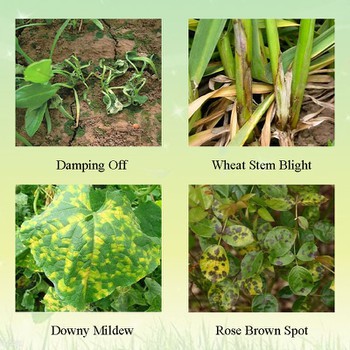 Application Application